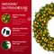 Best Choice Products Artificial Pre-Lit Fir Christmas Wreath Decoration w/ LED Lights